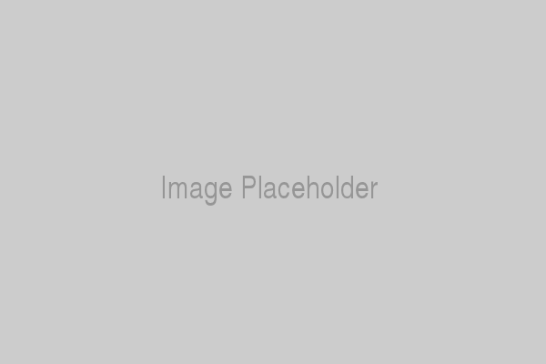 Retractable chromium-plate safety handles(HL-95-HZ)